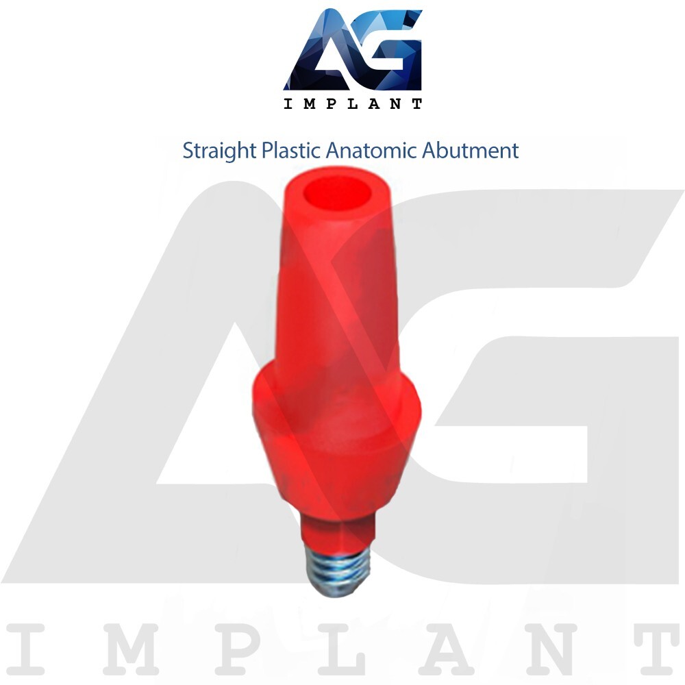 10 Straight Plastic Anatomic Prosthetic System Casting Int Hexagon 2.42mm