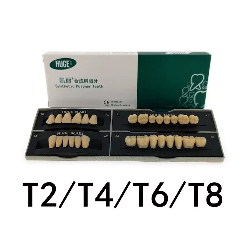 HUGE Dental Synthetic Polymer Teeth Resin False Teeth Denture Replacement 28/P