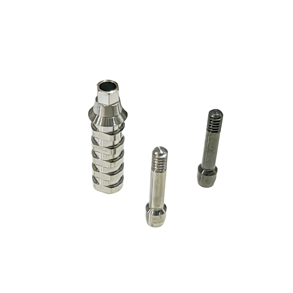 Dental Hex ET Temporary Abutment Mini Regular Ti Screws EbonyGold Osstem 4.0 4.5