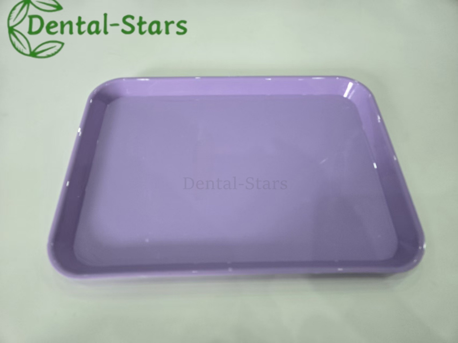 Dental Autoclave Plastic Instrument Set Up Flat Tray Size Large 33x24x20mm 1 Pcs