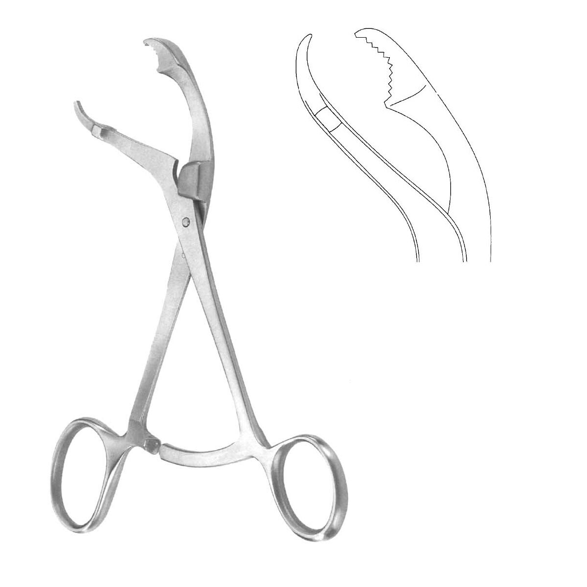 Verbrugge Bone Holding Reposition Forceps Plier 26 cm, 10.5 mm 10.25″