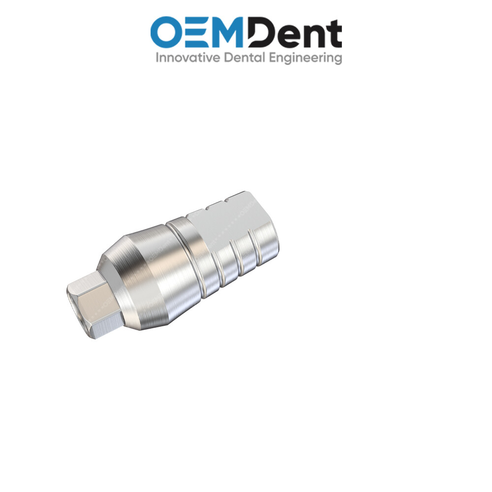 Straight Prosthetic Standard Platform – Paltop® Int Hex 2.42mm Compatible
