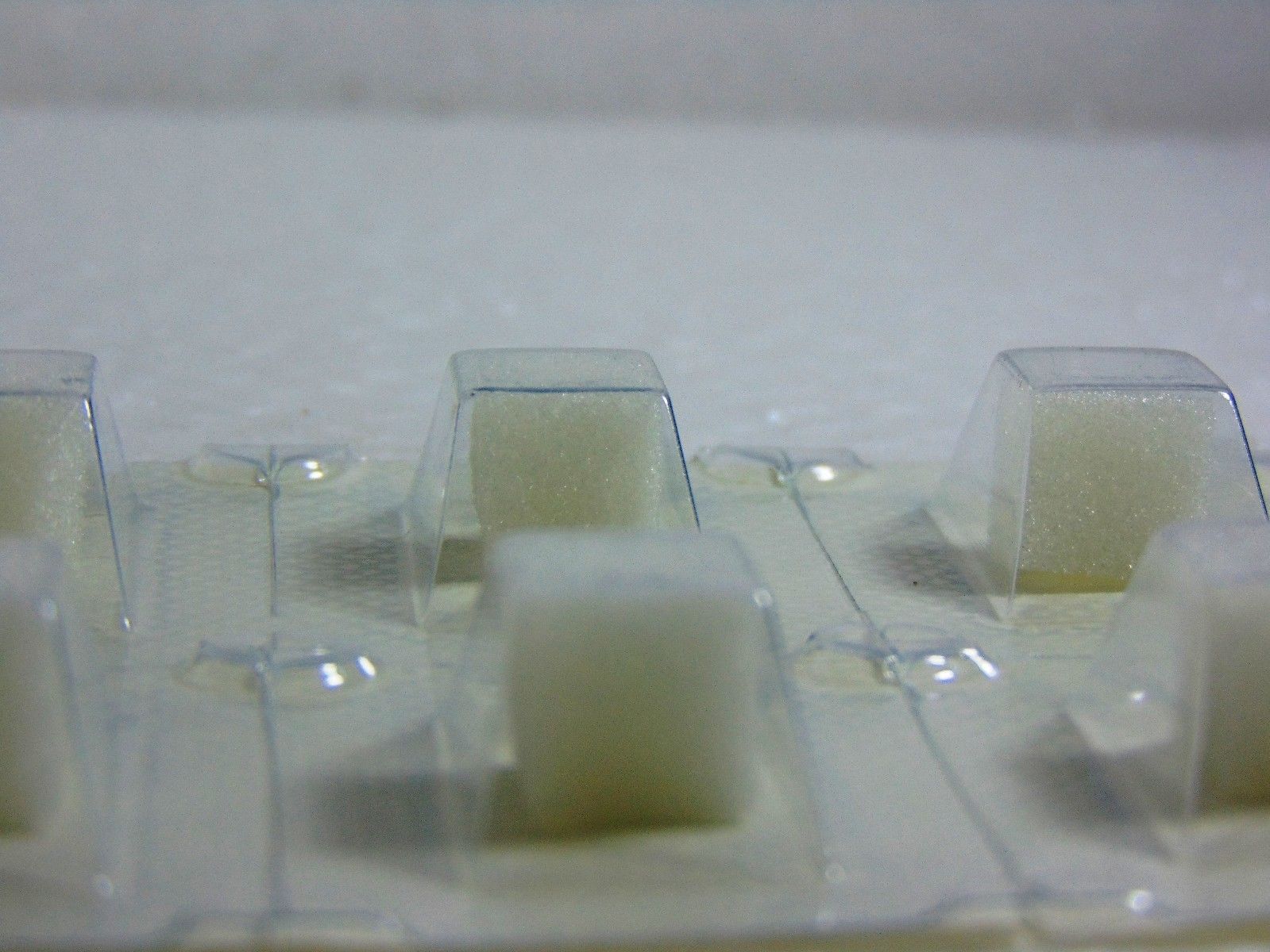 Dental Gelatin Sponges Absorbable Sterile Gelfoam Hemocollagene 32pcs