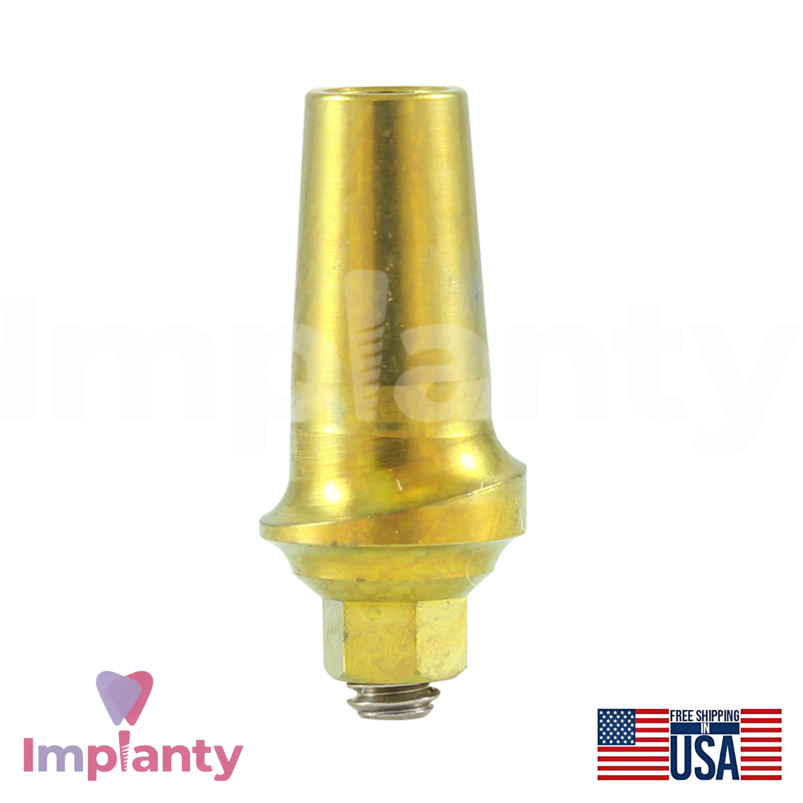 GDT Concave Anatomic Dental Titanium Prosthetics Kit Int Hex 2.42mm Connection
