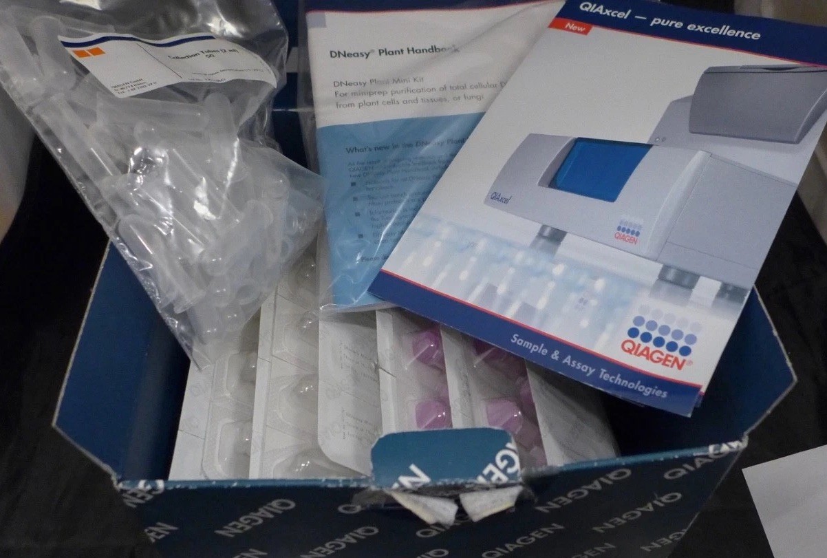 QIAGEN DNeasy Plant Mini Kit, 50 column sets, no buffers #69104
