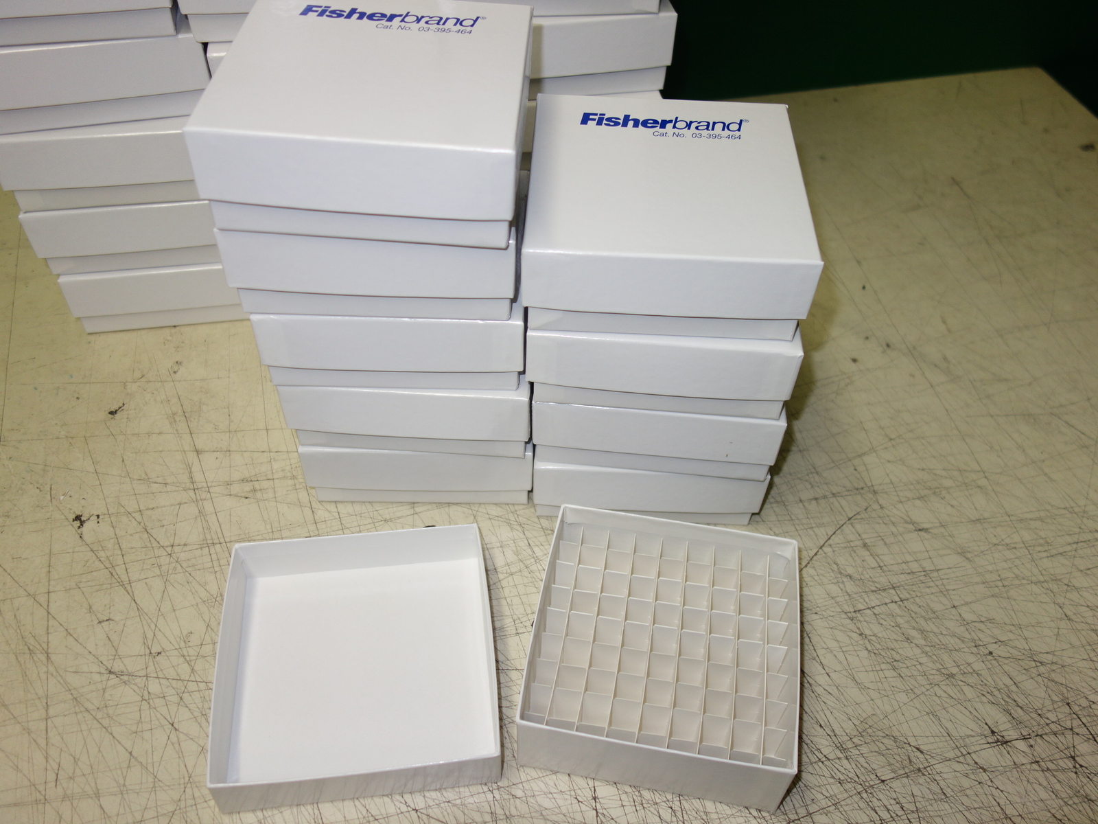 Fisher Scientific 03-395-464 Cryo Freezer Box 5x5x2 w/Cell Divider * Case of 10x