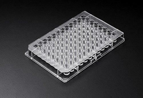 SPL Immunoplate, PS, Clear, 96 wells Maxibinding, Flat-Bottom, 100/Case