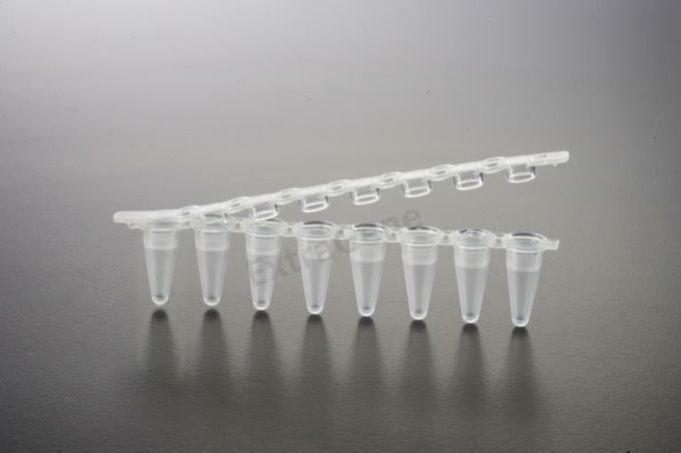 Extragene PCR Strip 8 x tube with 0.1 ml Low Profile Thin Wall Flat Cap 125 Pk