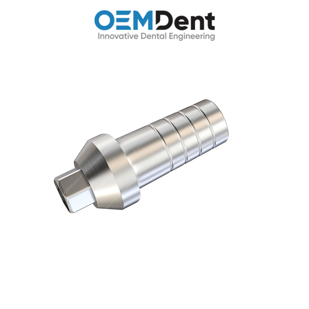 Straight Anatomic Prosthetic – Paltop® Int Hex 2.42mm Compatible