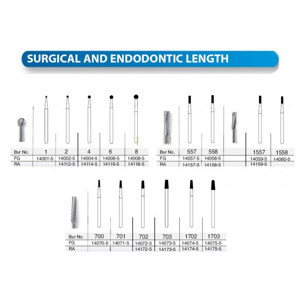 Beaver Dental Surgical Carbide Burs FG for High Speed Handpiece All Sizes