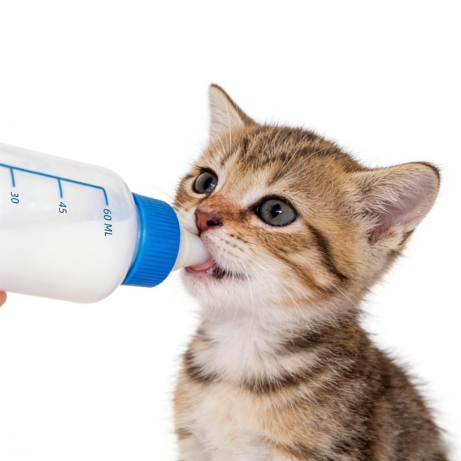 SLWHYZL Kitten 1ml 3ml 5ml 10ml and 60ml, Color random shipments of goods