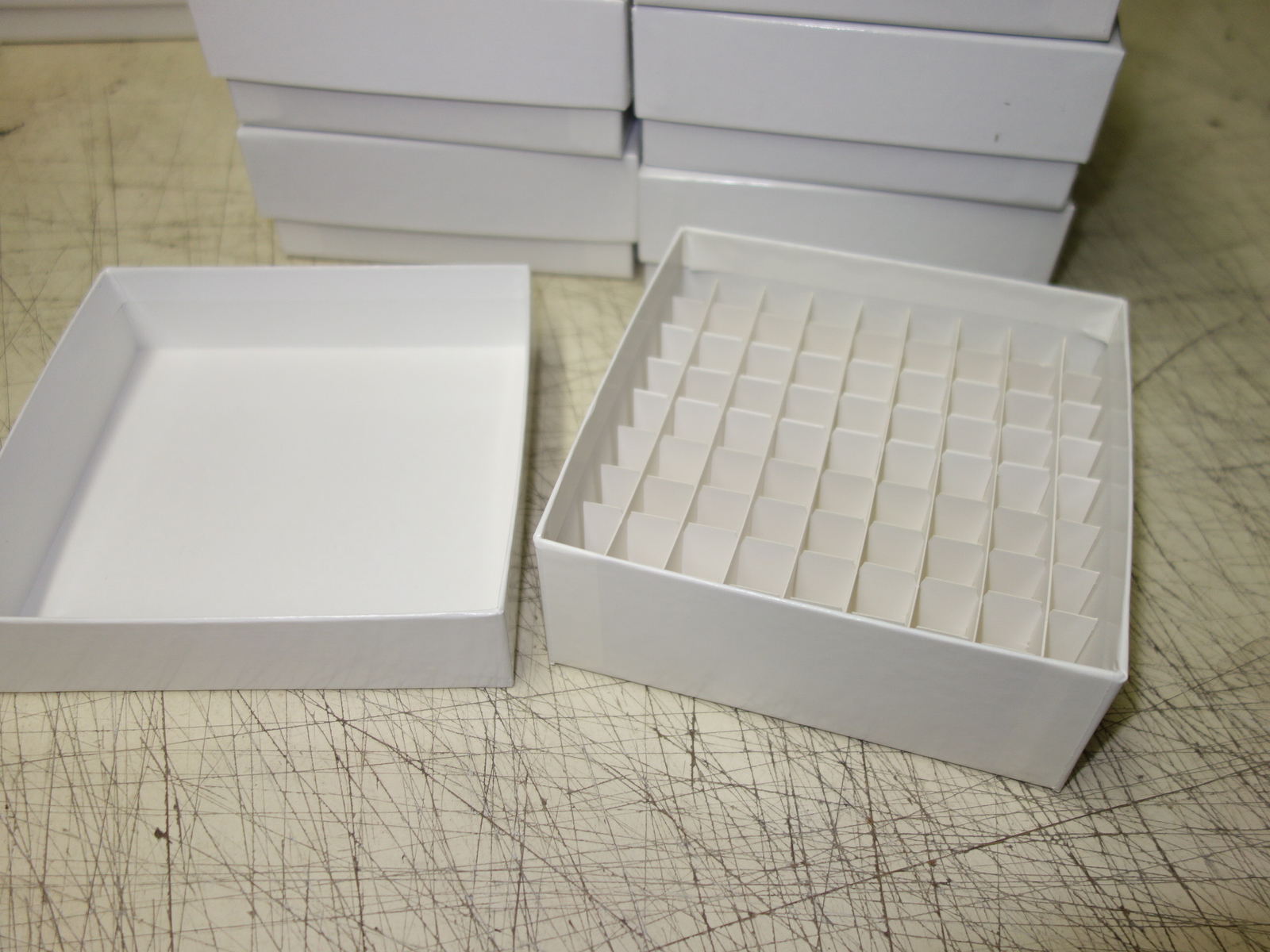 Fisher Scientific 03-395-464 Cryo Freezer Box 5x5x2 w/Cell Divider * Case of 10x