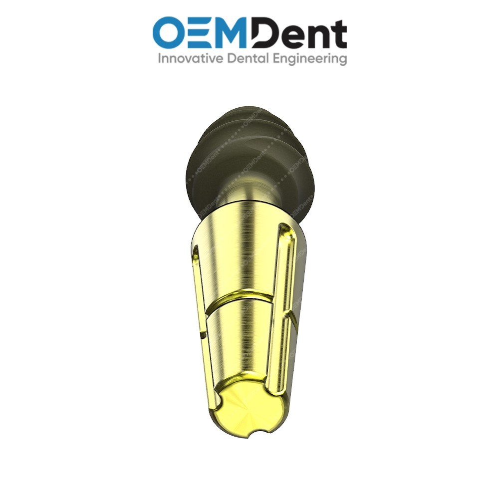 Dentine Compressive Monoblock Fixture Titanium Sterile SLA Surface
