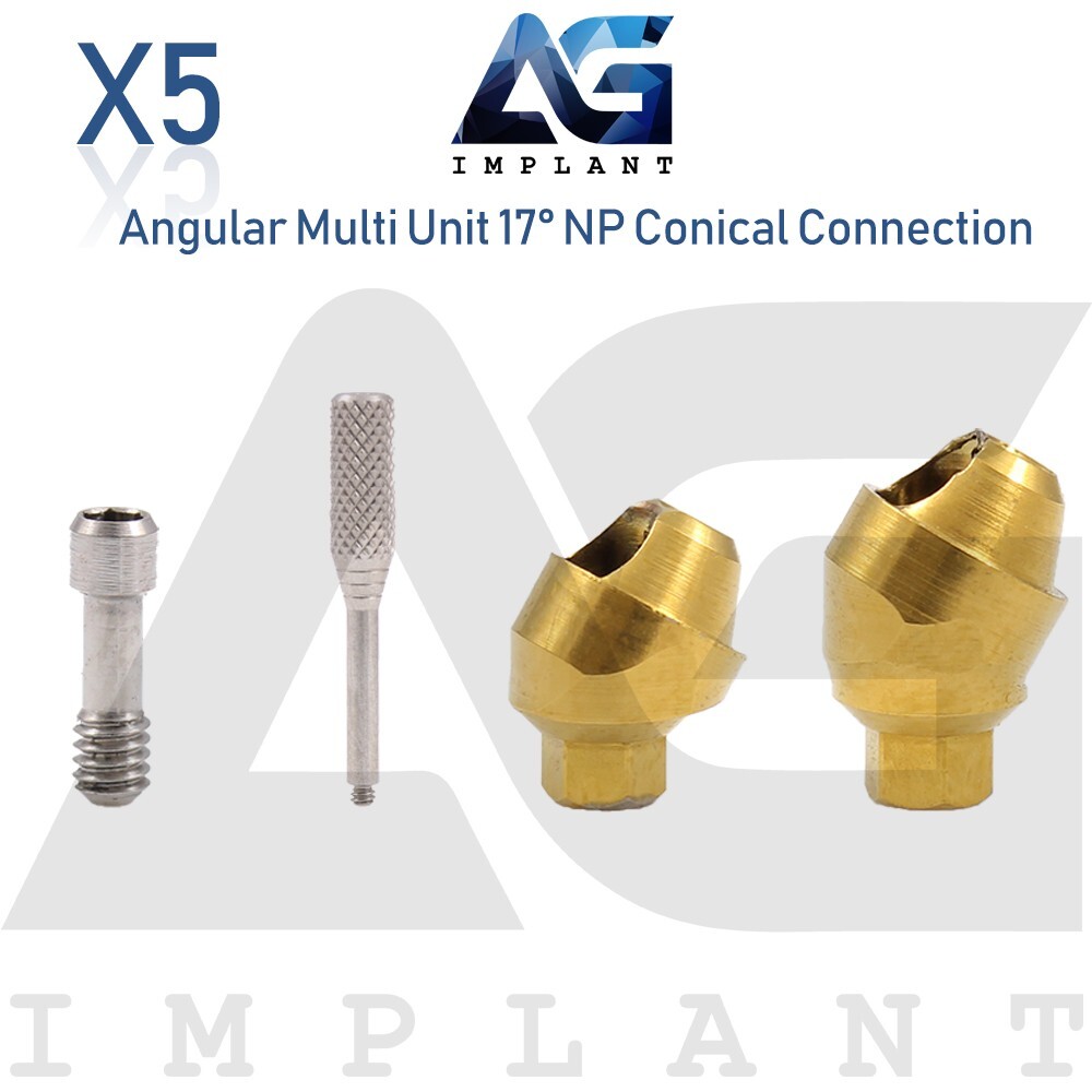 5 Angular Multi Unit Prosthetic System 17° Conical Connection NP With Screw 1.6m
