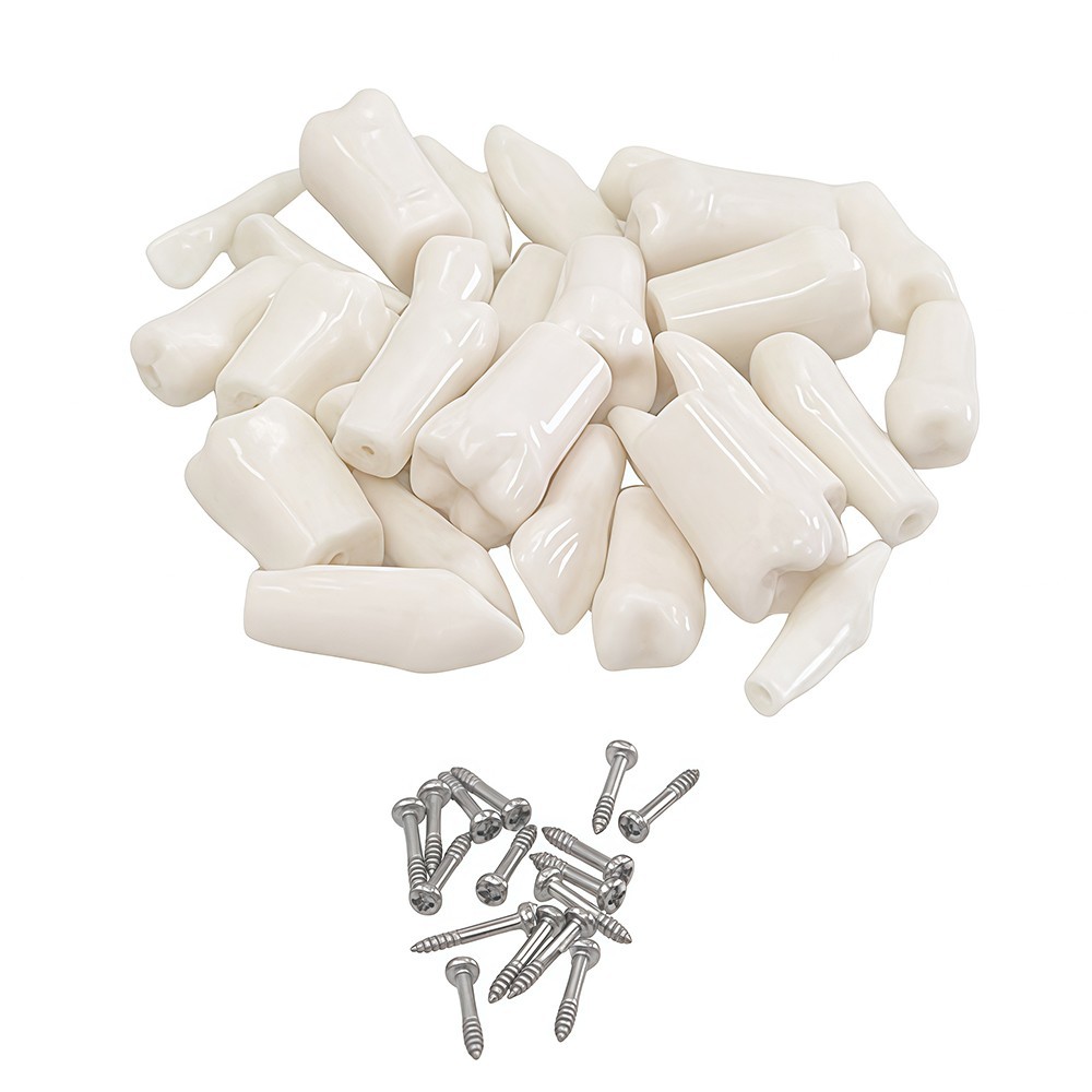 28Pcs Tooth Granule Set Dental Typodont Replacement Screw-in Teeth Model
