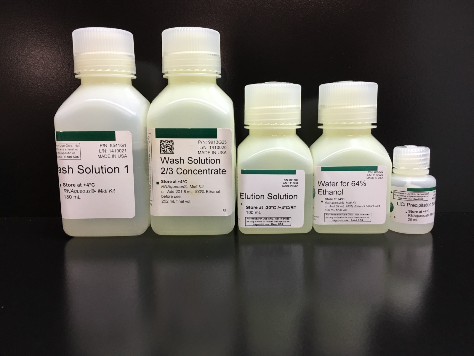 Thermo Scientific Ambion REF AM1911 RNAqueous Midi Total RNA Isolation Kit
