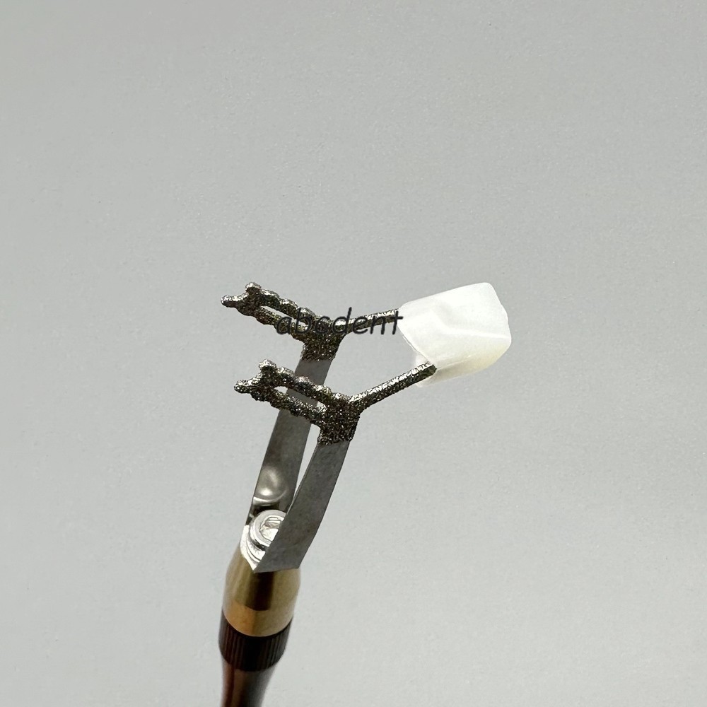 Zirconia Porcelain Crown Holder Dental Anterior Posterior Bridge Placer Remover