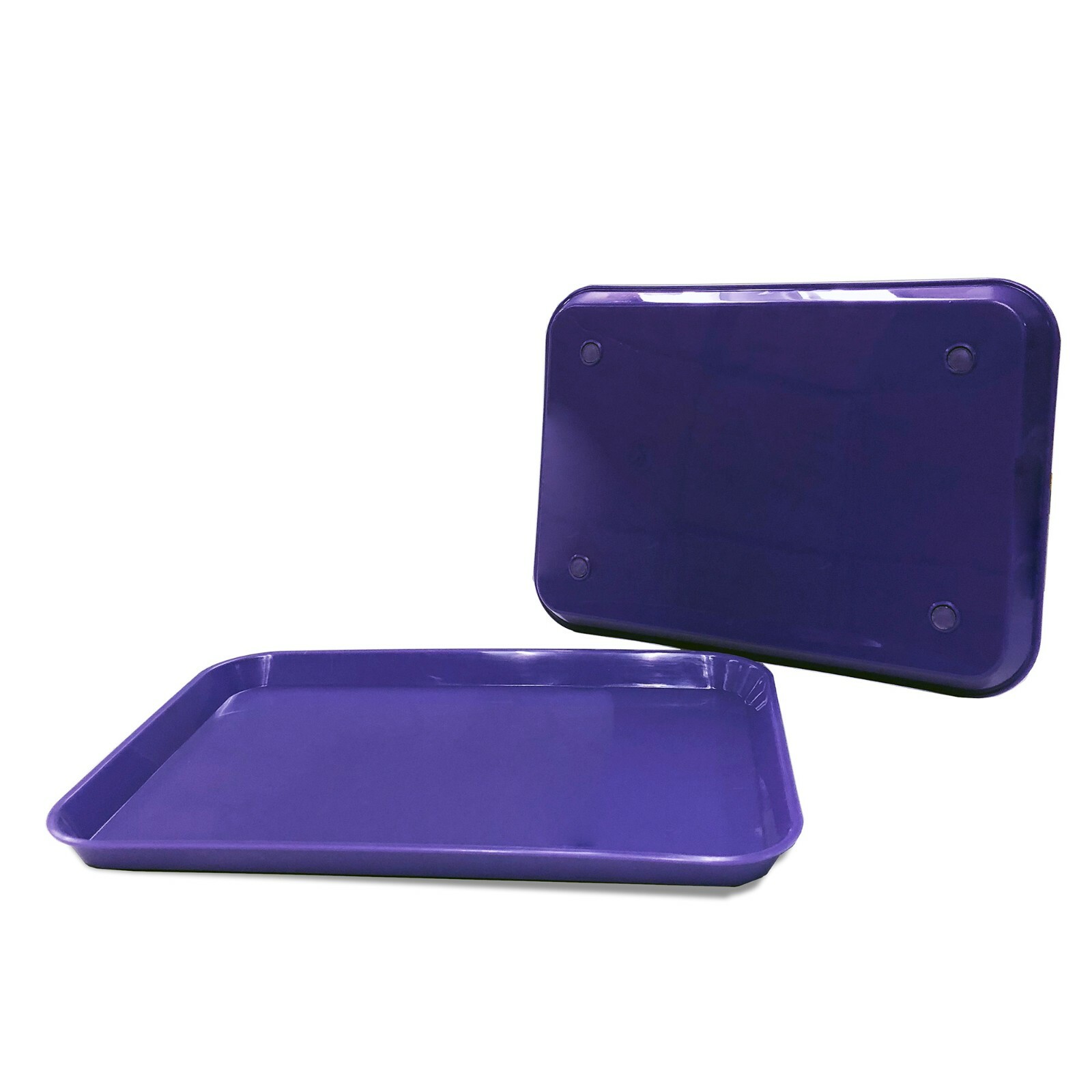 Purple Dental Plastic Instrument Trays, Size B Autoclavable (Pack of 12) Medical
