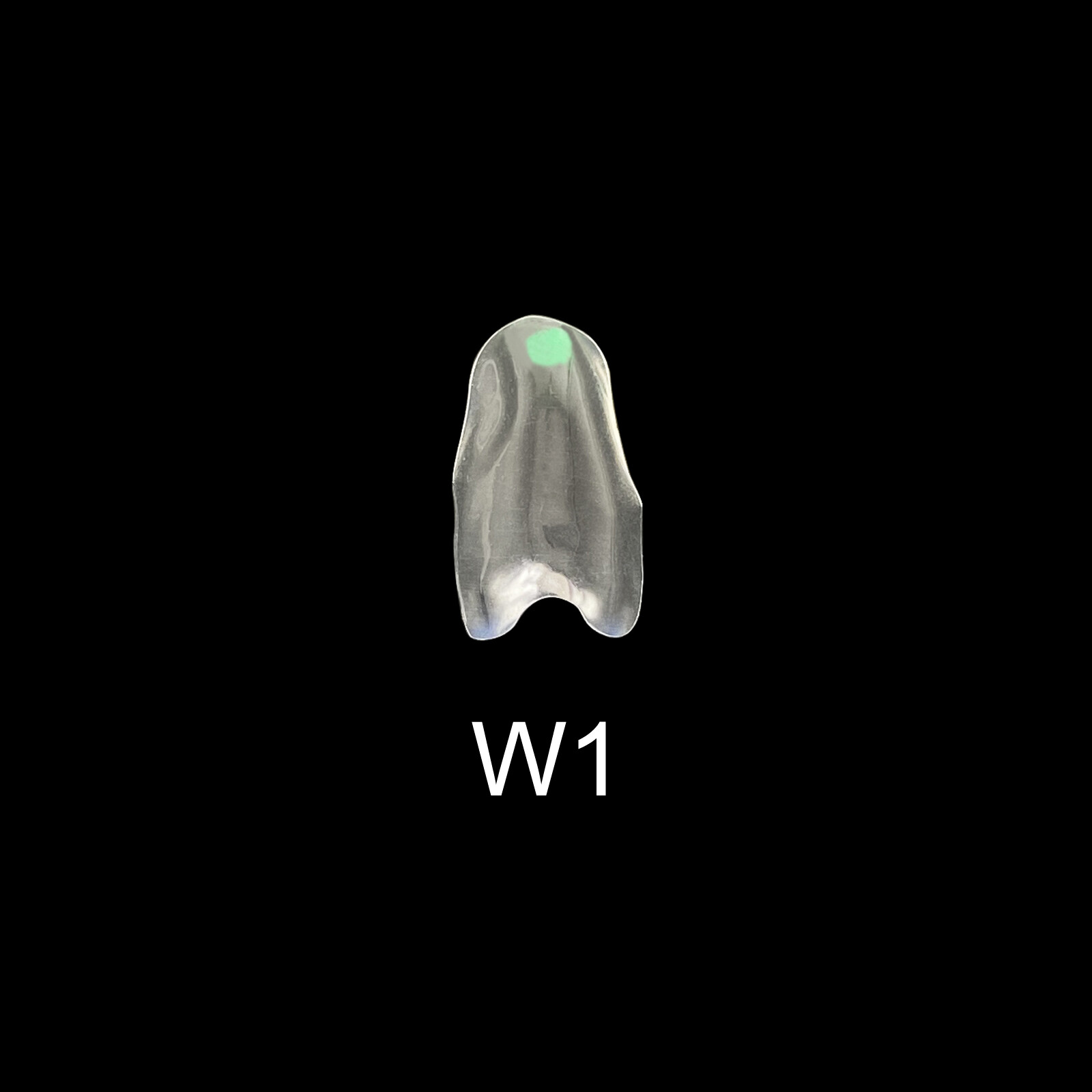 Clear Matrix Dental Anterior Posterior Transparent BT Matrices Fit BioClear
