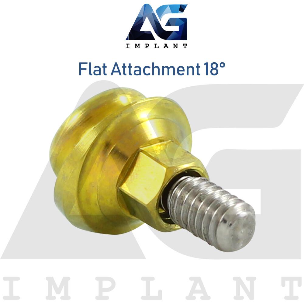 Angled 18° Flat Attachment Standard Silicone Set Titanium Int Hex 2.42mm