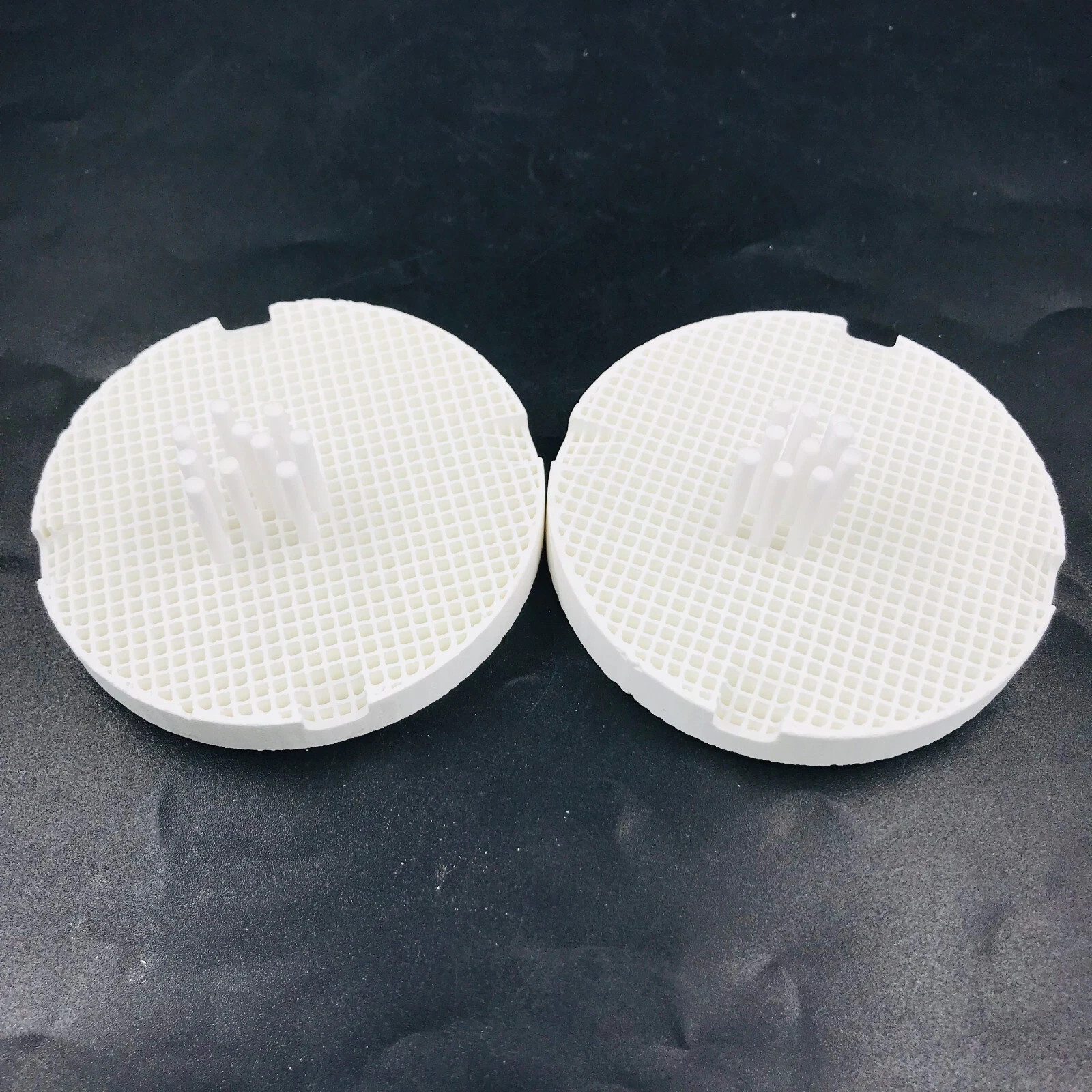 2x Dental Lab Porcelain Honeycomb Firing Trays & 20Pcs Ceramic Zirconia Pins
