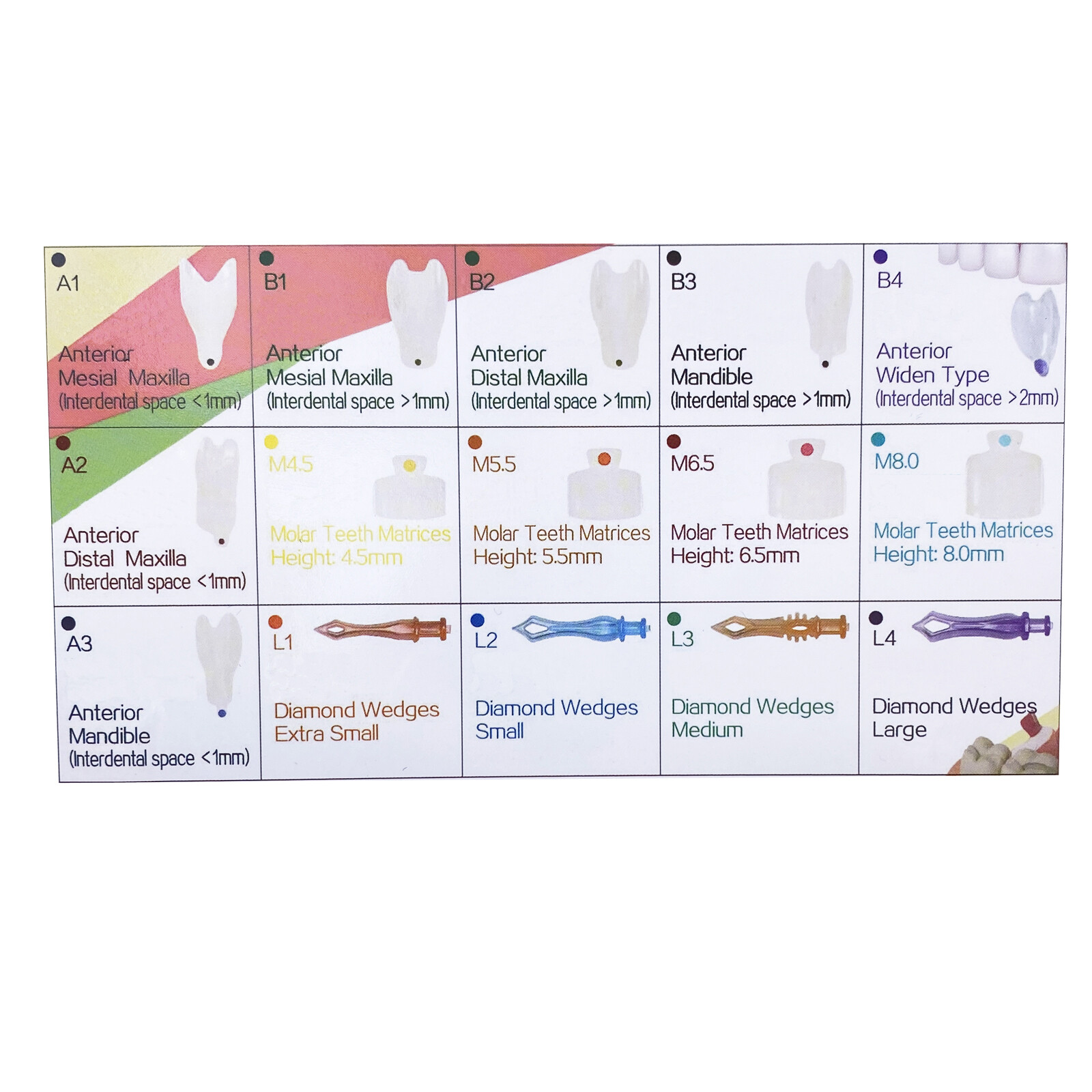 Dental Clear Matrix Anterior Posterior Restorative BT Bow Matrices Fit BioClear