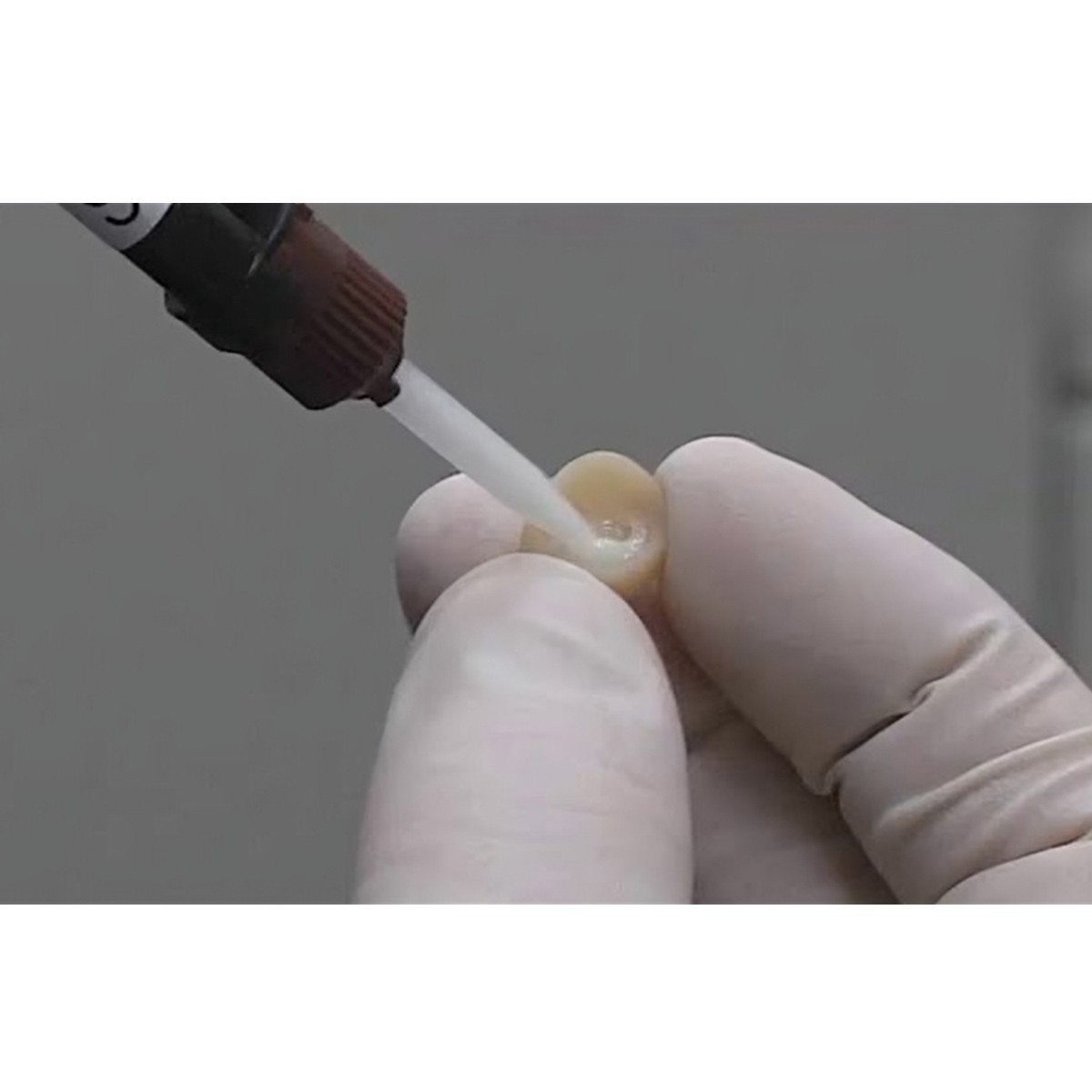 Dentsply Calibra Ceram Adhesive Resin Cement 4.5g Dual Barrel Syringe Dental