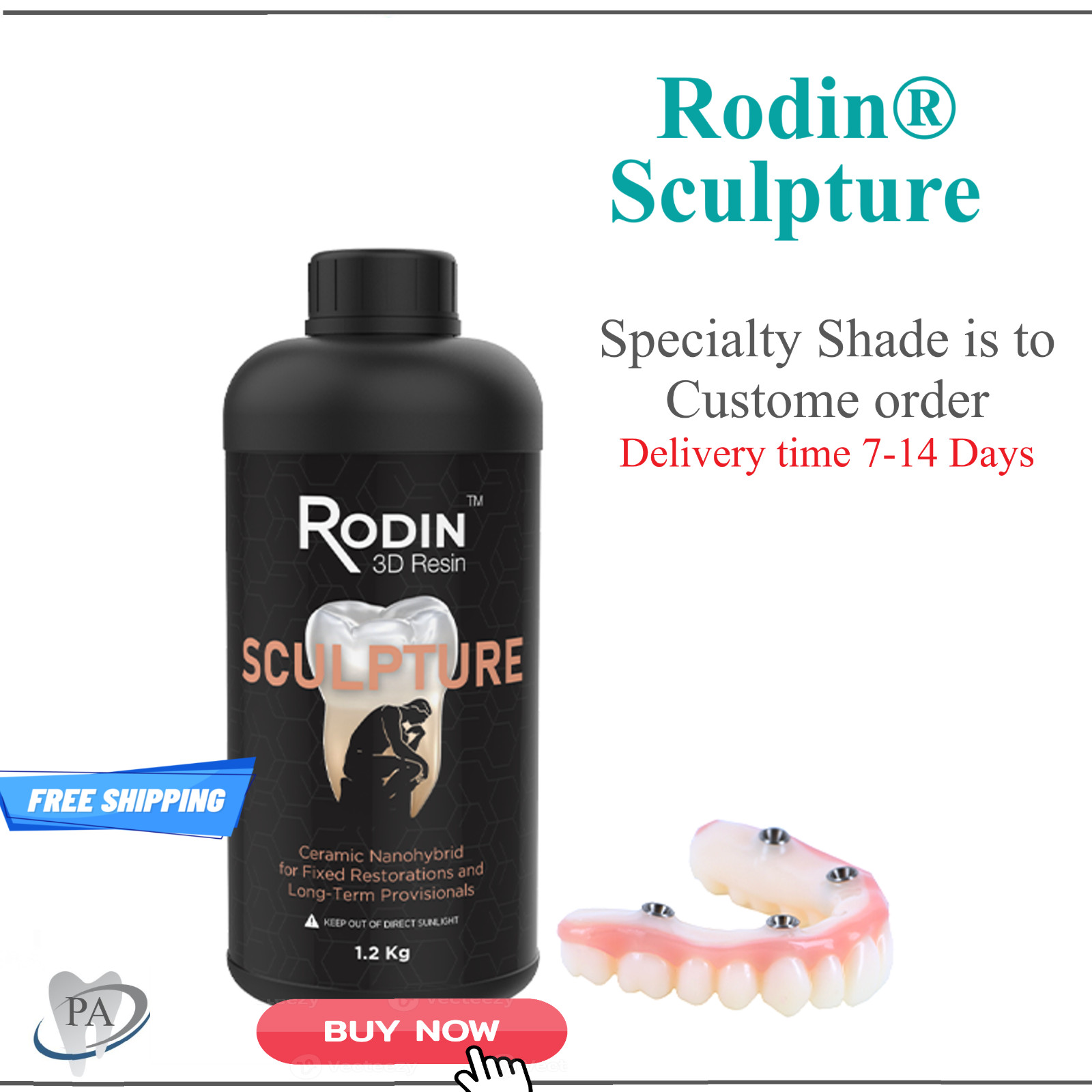 3D Rodin Resin Printing Materials, Denture Base, Clear Bite Splint, Sculpture et