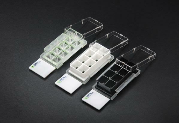 SPL Cell Culture Chamber slide, 8 wells, Glass slide, PS frame, PP holder 12/Pck