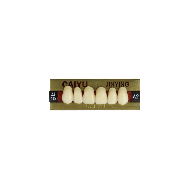 Dental Four Layer Synthetic Resin Teeth Anterior Posterior Polymer Denture