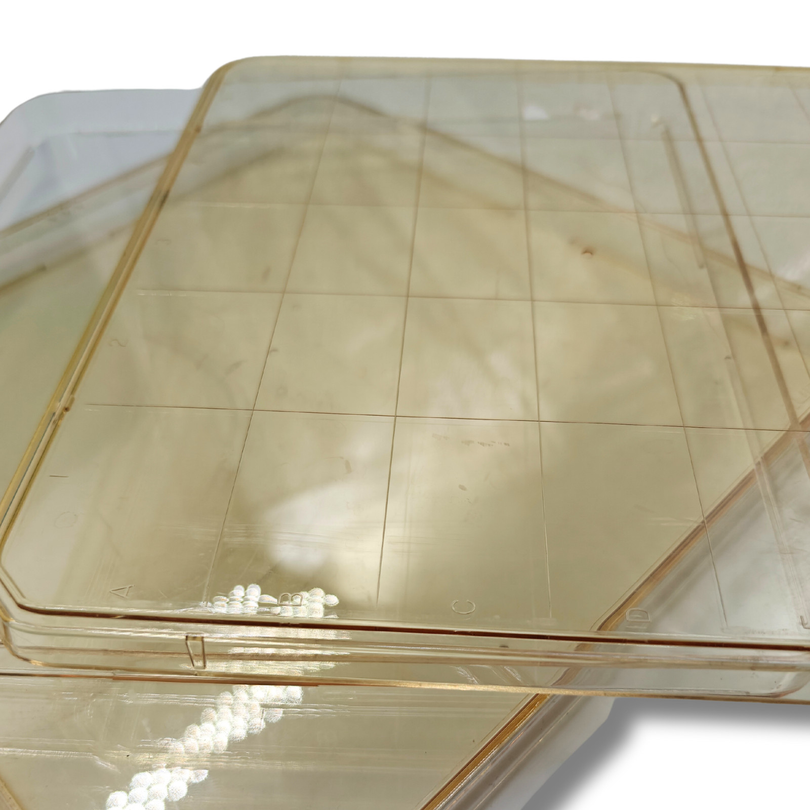 5pk Square BioAssay Dishes 241x20mm w/ Lids, Gridded, Clear | BD Falcon & NUNC