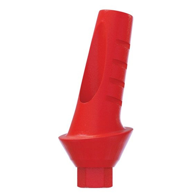 10 Angulated Anatomic Plastic Castable 15° UCLA Prosthetic Int Hex 2.42mm Dental