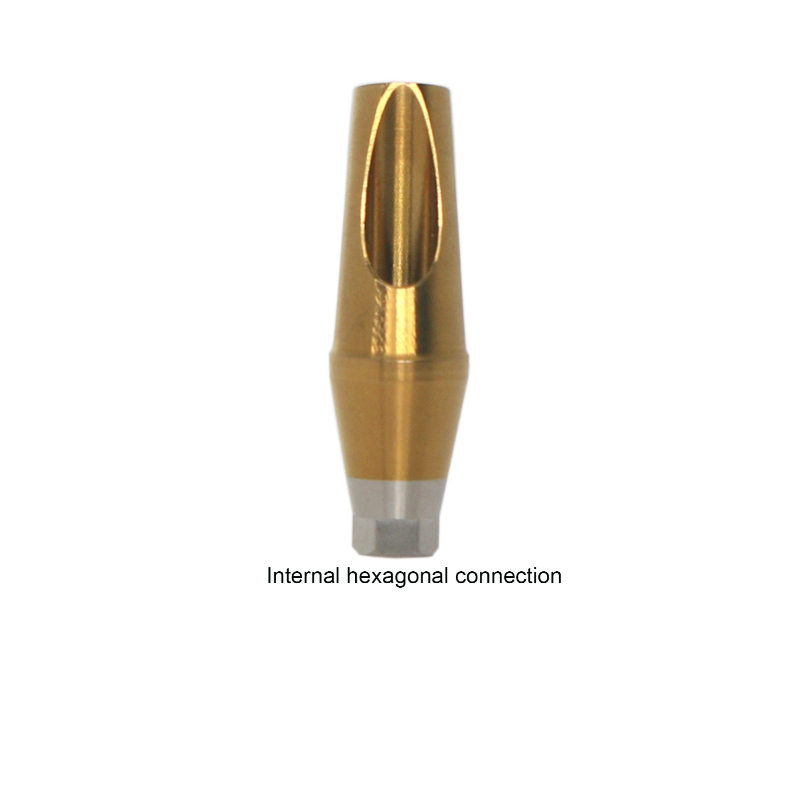Hiossen ET Dental Angulated 17º Abutment Cement/combination retained prosthesis