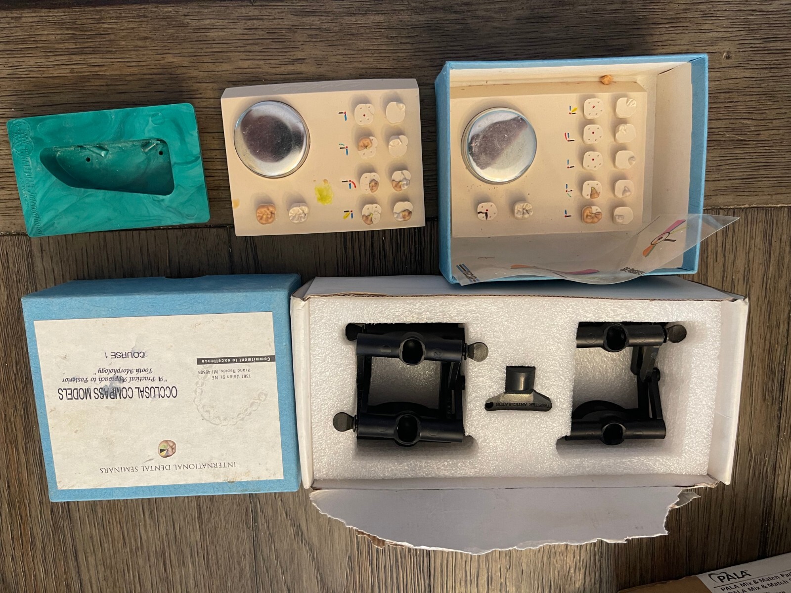 Articulator & Tooth Morphology Compass Models