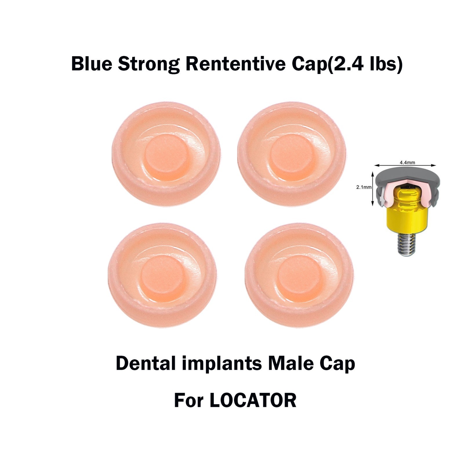 US Universal Dental Overdenture Implant Retention Caps 2.4lbs &Locator Core Tool