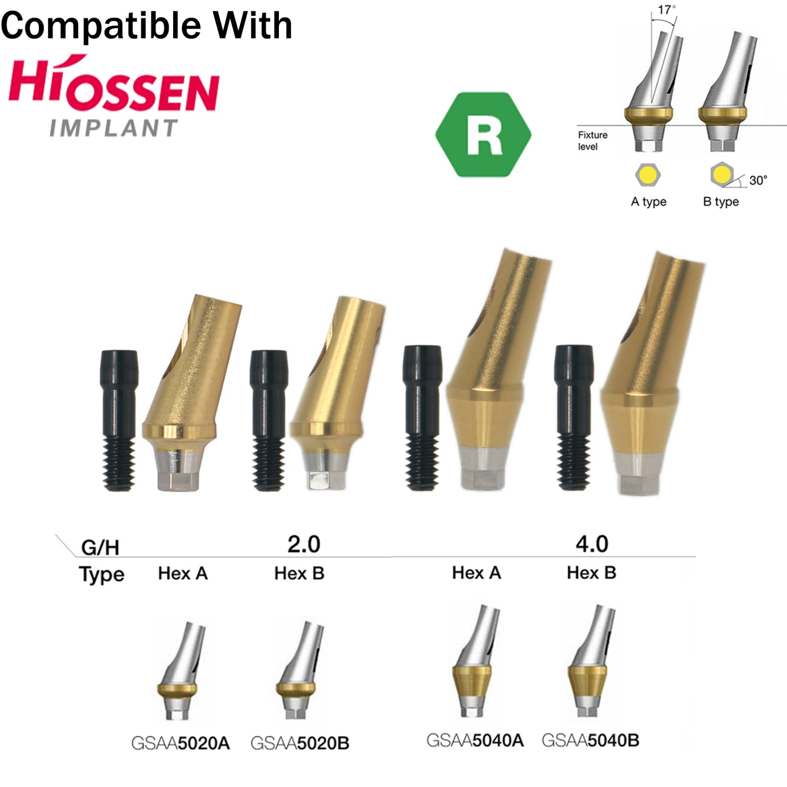 Dental 17° Angled Abutment Anatomic Fits Hiossen Osstem TS Hex Regular Platform
