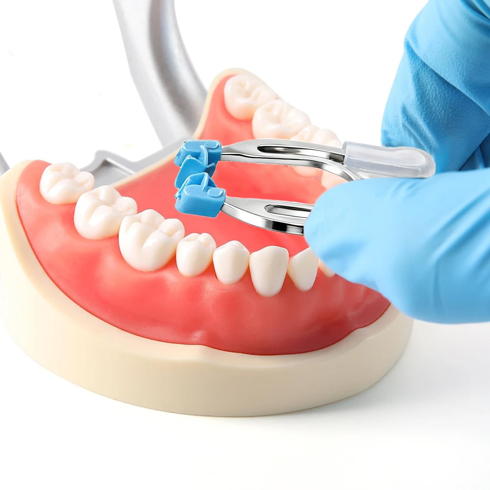 2 Pack Dental Matrix Band Retainer Rings with Plastic Wedges – Multicolor