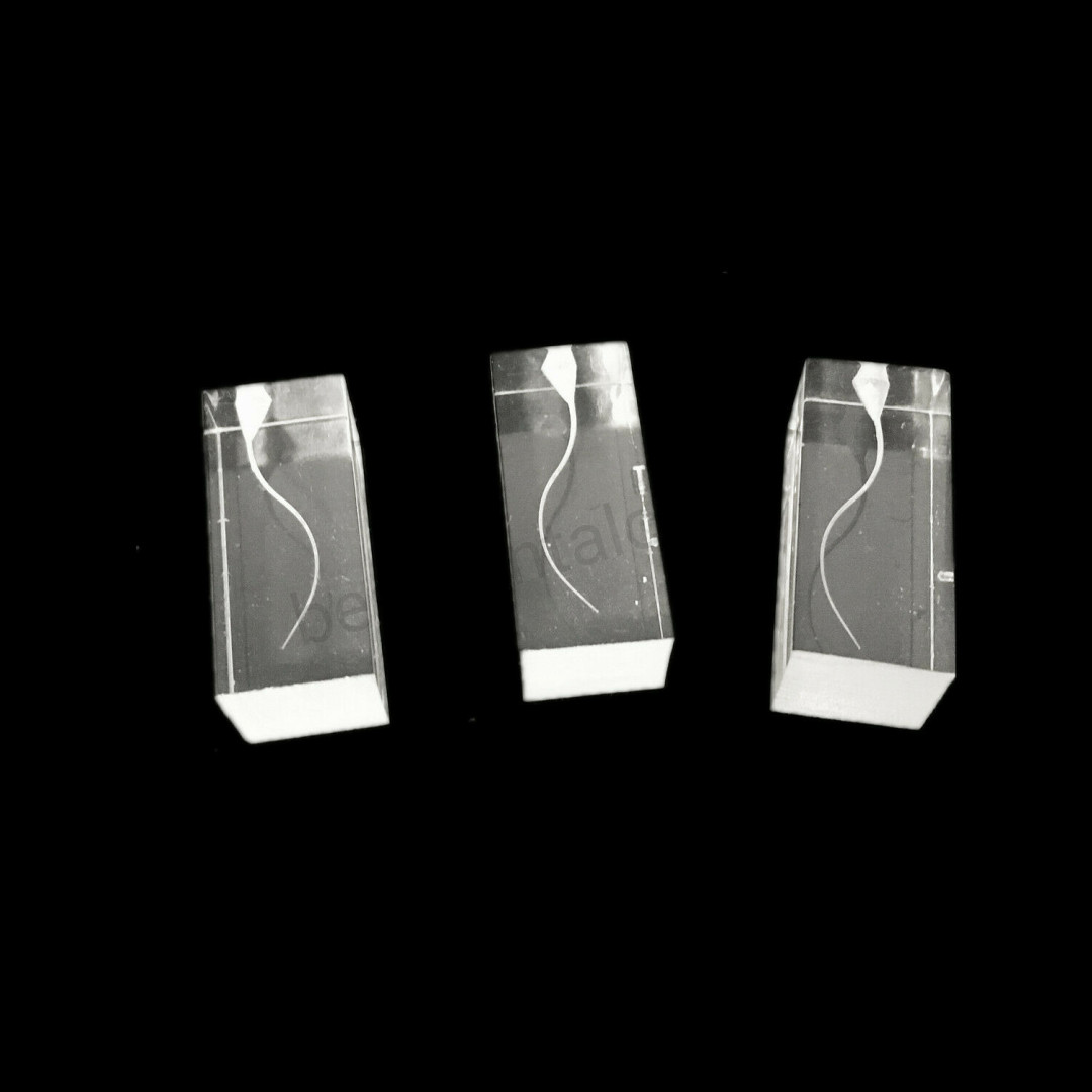 Dental Model Rotary Files Practise Block Endo Path File Training Clear