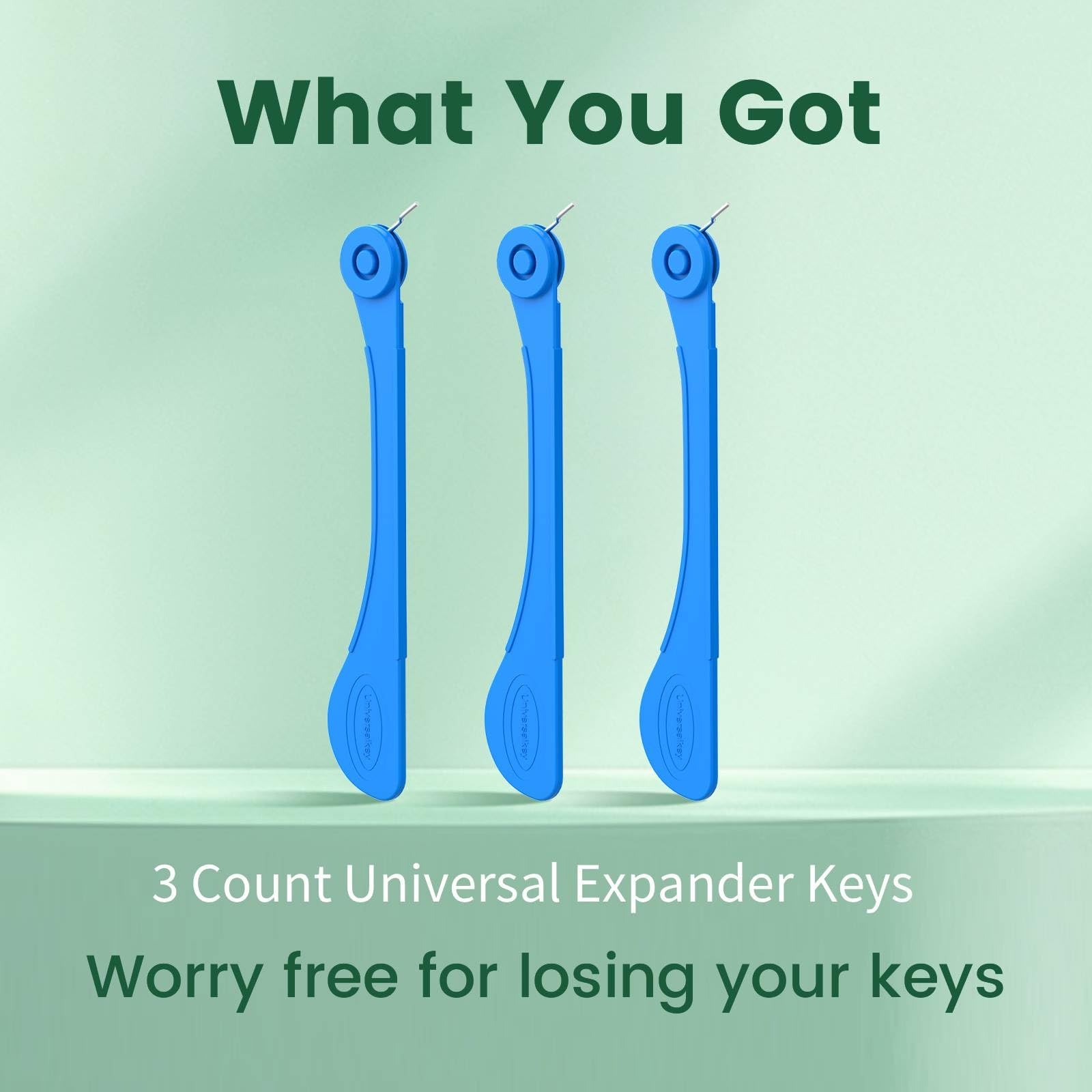 Fremouth 3 Count Universal Expander Keys, Dental 3 (Pack of 1), Blue