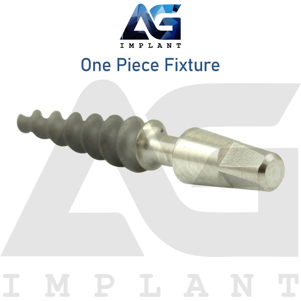 10 One Piece Fixture System Titanium Prosthetic Integrated SLA Surface Dental
