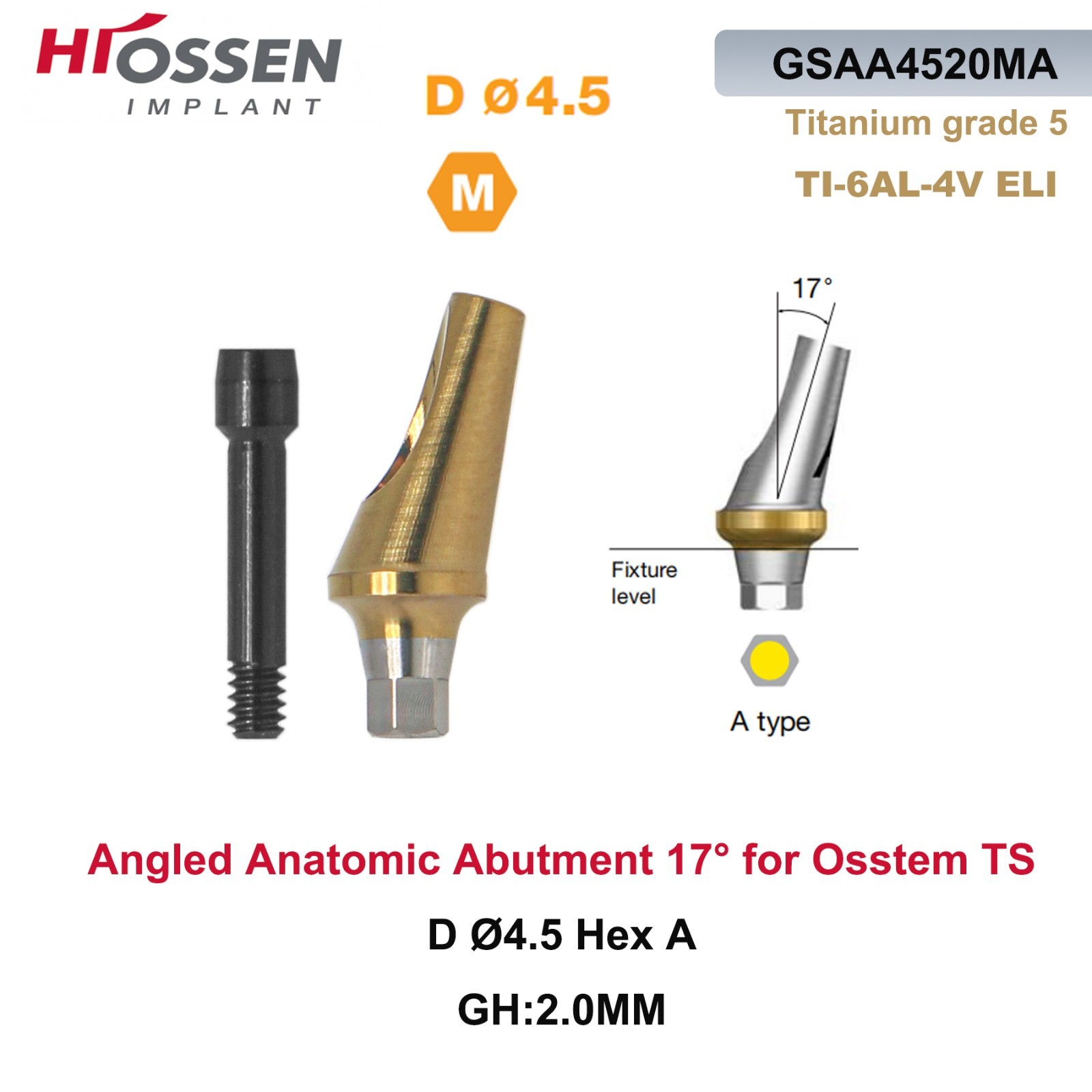 17° Angled Abutment Mini/Regular Hex Compatible with Osstem TS Implants Titanium