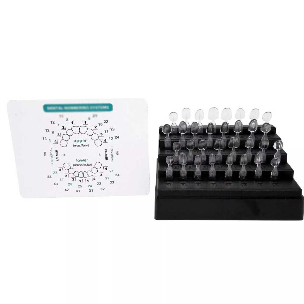 Dental Anterior Veneer Mould Kit Composite Resin Mold Light Cure Teeth Whitening