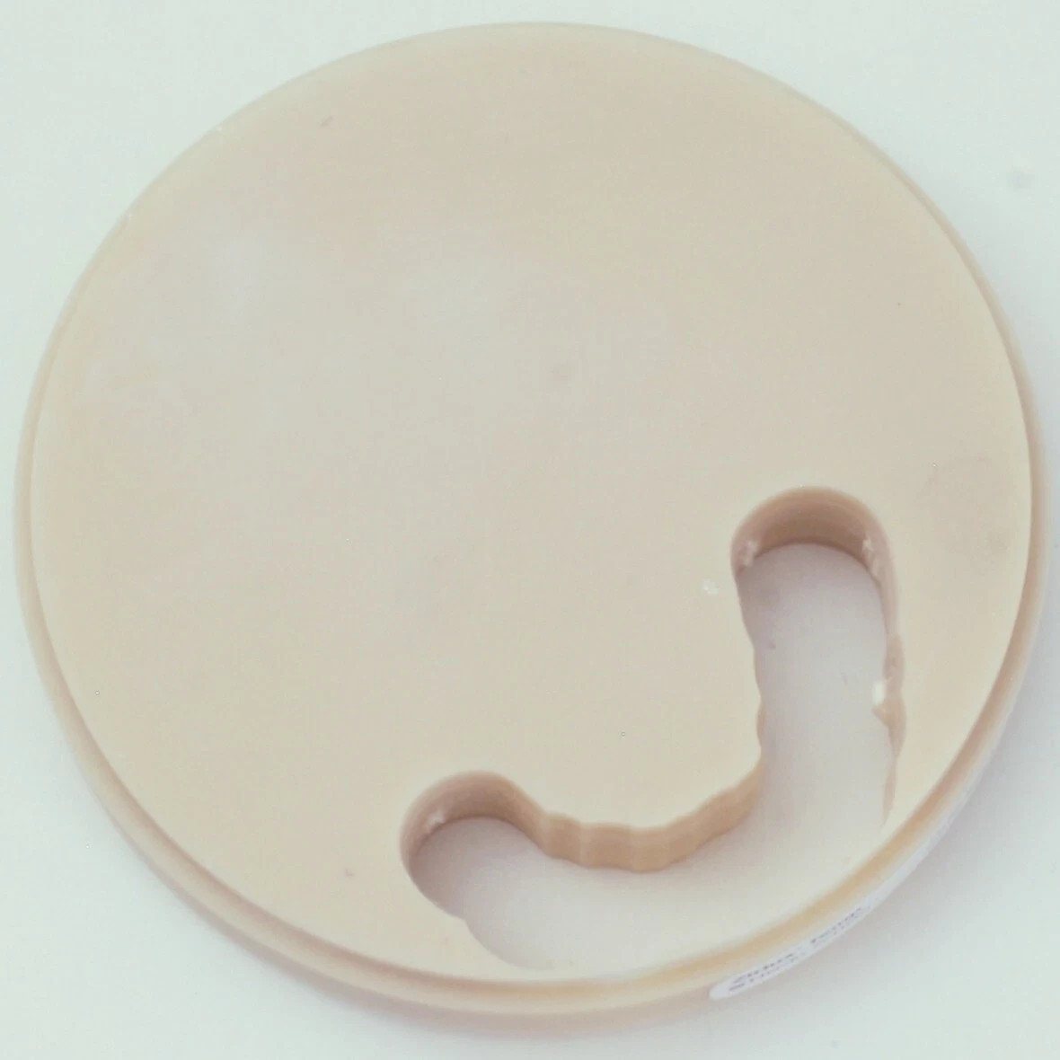 Used Zirlux Temp PMMA – 98×18 mm – Shade B1 – 900-7905 – Use By 2026-03