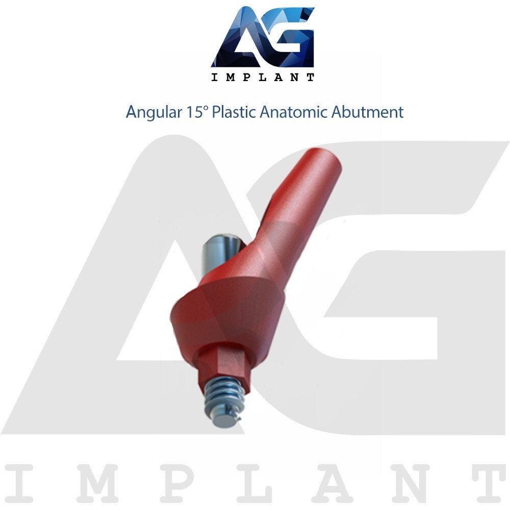 10 Angular 15° Plastic Anatomic Prosthetic System Casting Int Hex 2.42mm