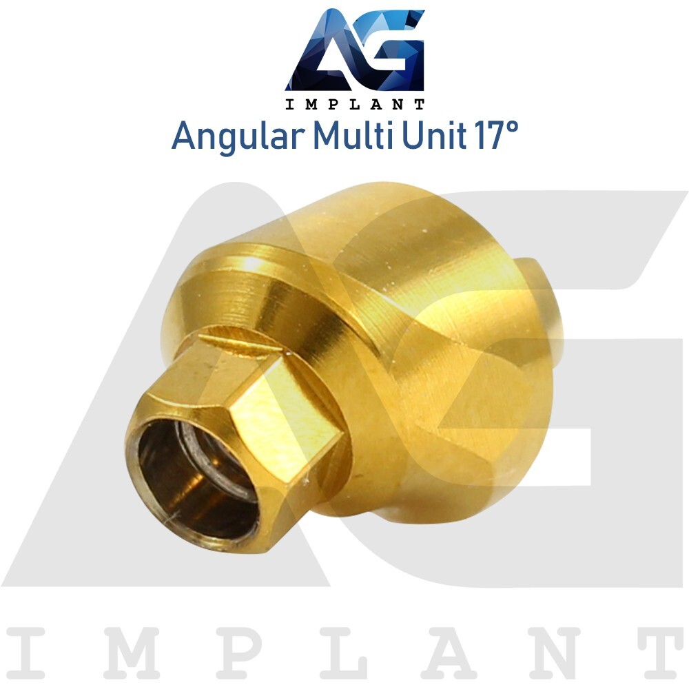5 Angular Multi Unit 1.6 Prosthetic 17° and Plastic Sleeve With Screw