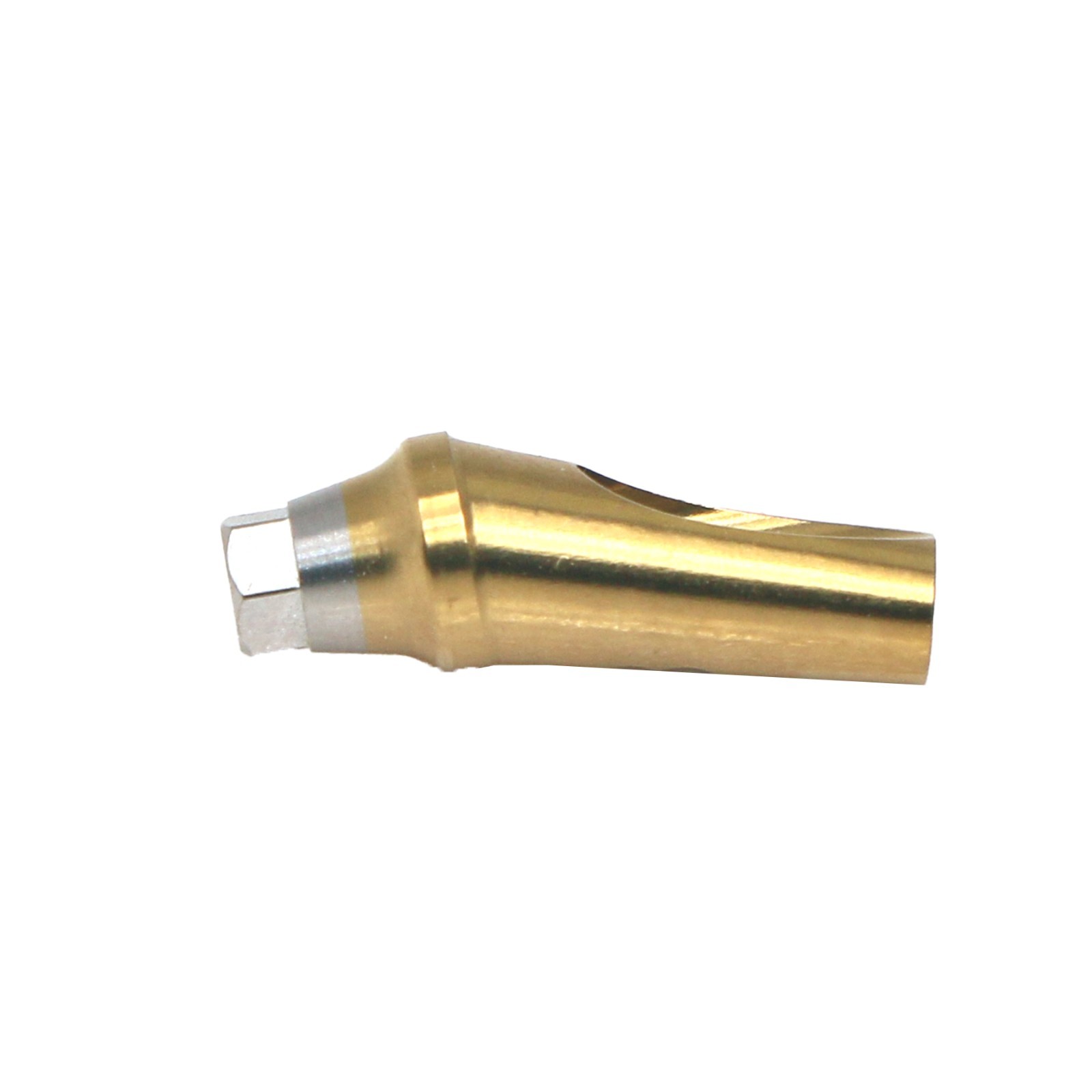 Dental Anatomic Angulated Abutment 17° Osstem TS / Hiossen ET Regular Platform