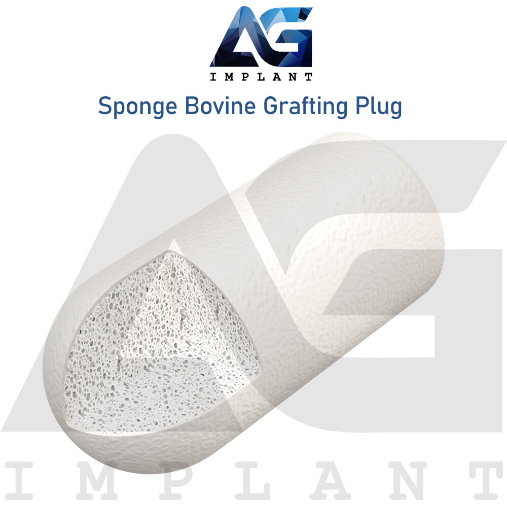 Sponge Graft 5 Plugs Collagen Sterile Blister Natural Material Composite