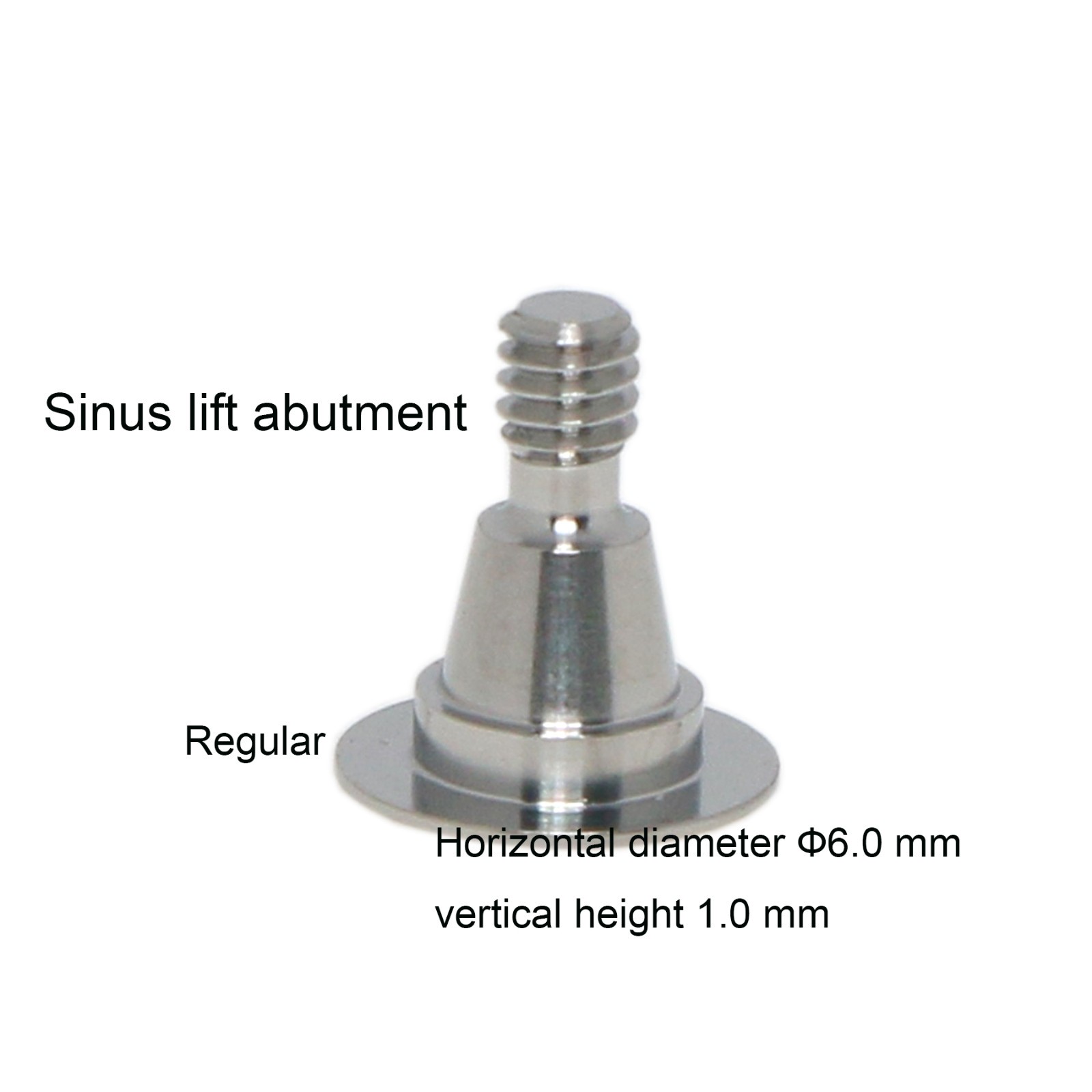 CAD/CAM 3D Implant Lab Analog Sinus lift temporary abutment Fits Hiossen/osstem