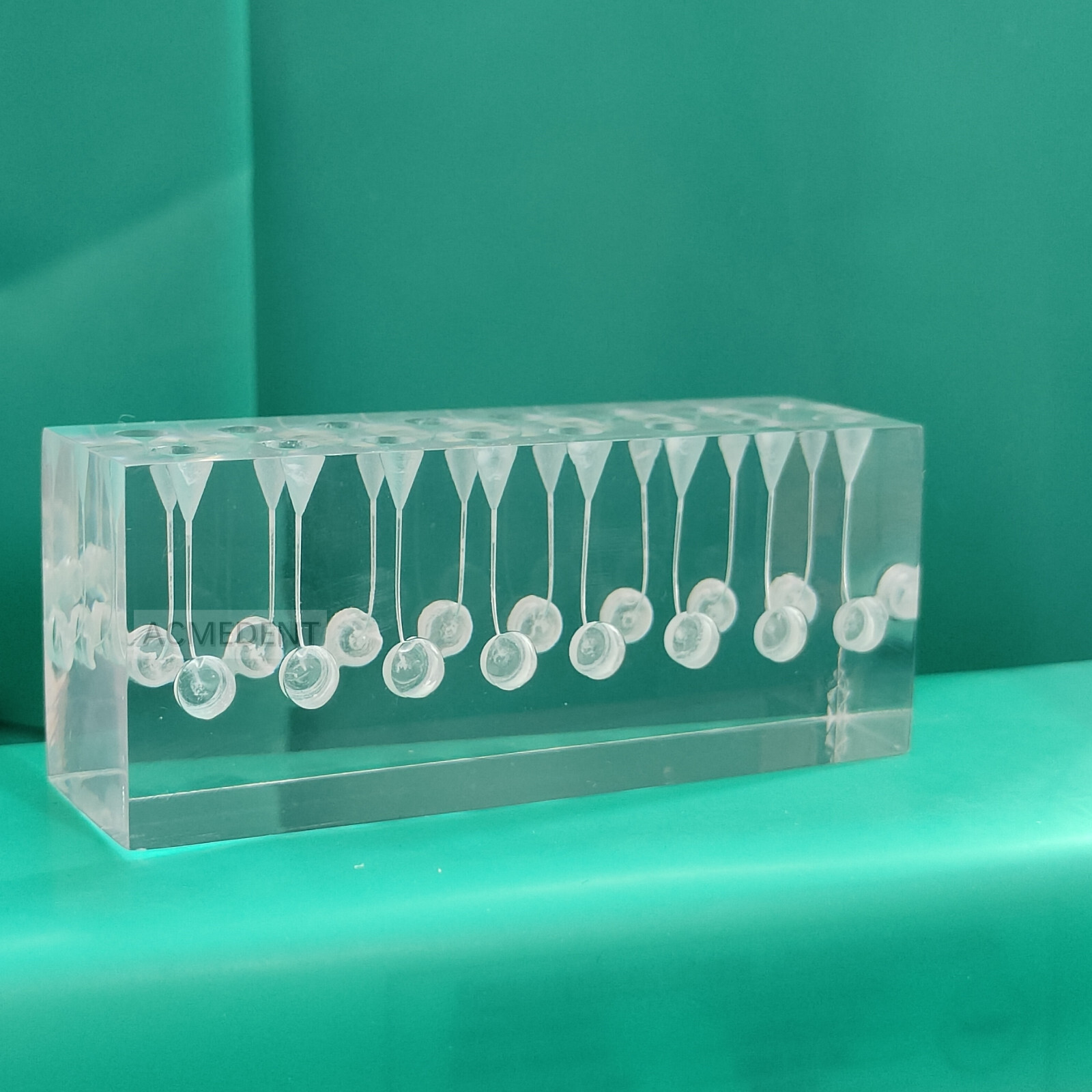 Dental Endo Files Practise Blocks Curved Combined 16-Root Canal Clear RCT Block