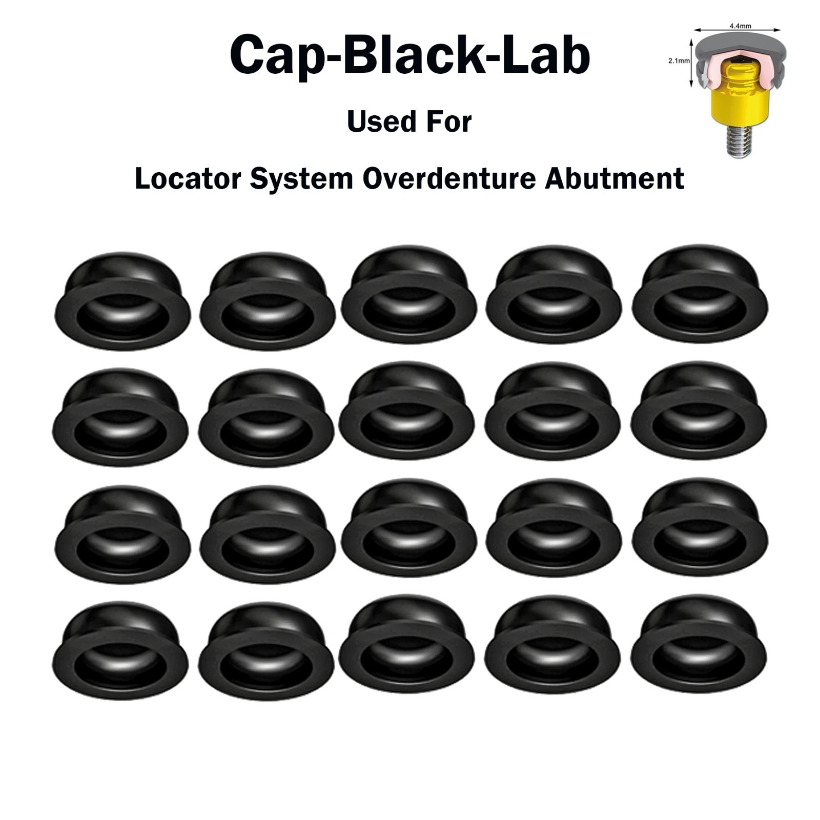 Zest Locator Dental Replacement Metal Housing &Black Lab Processing Cap Assembly